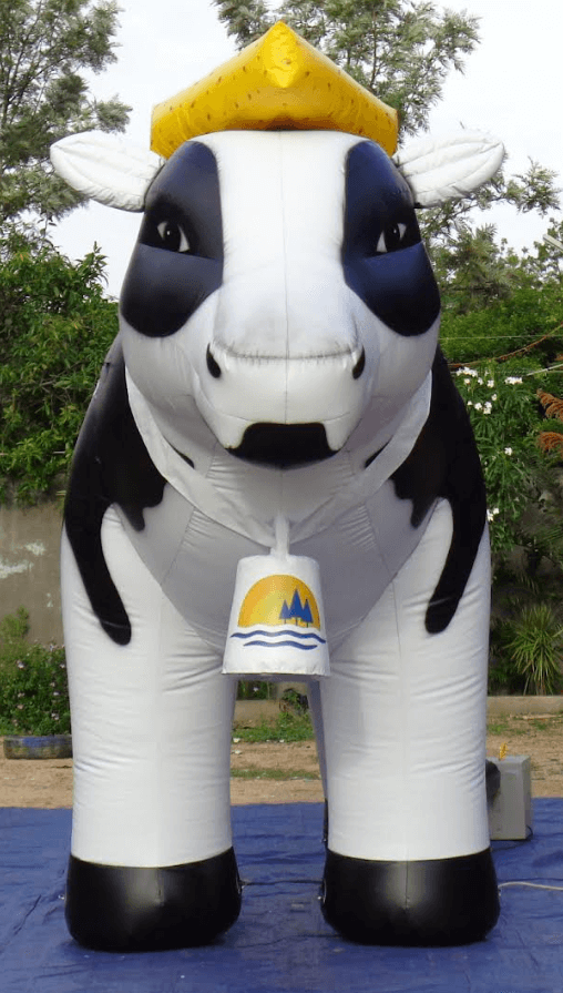 Custom Cow 2